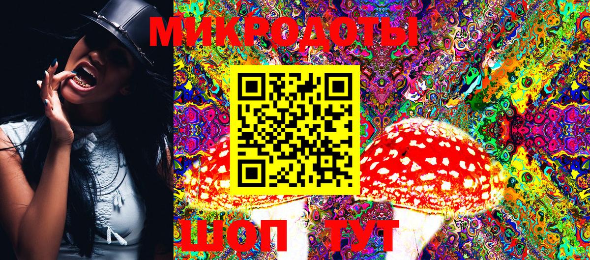 Курчалой  Галлюциногенные грибы Magic Shrooms  Вход с VPN 