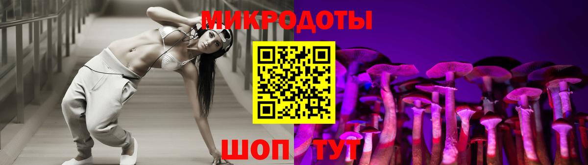 Псилоцибиновые грибы мицелий Курчалой